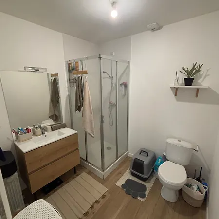 Lumineux 45m2 Veigy-Foncenex